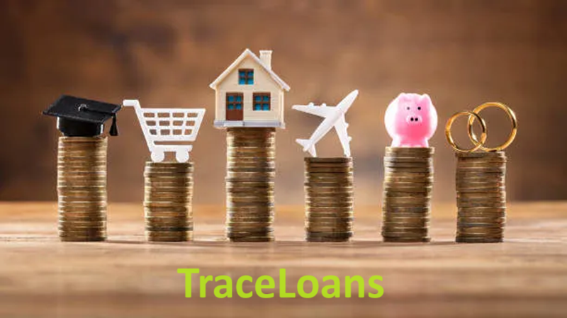 TraceLoans: Revolutionizing the Loan Management Industry